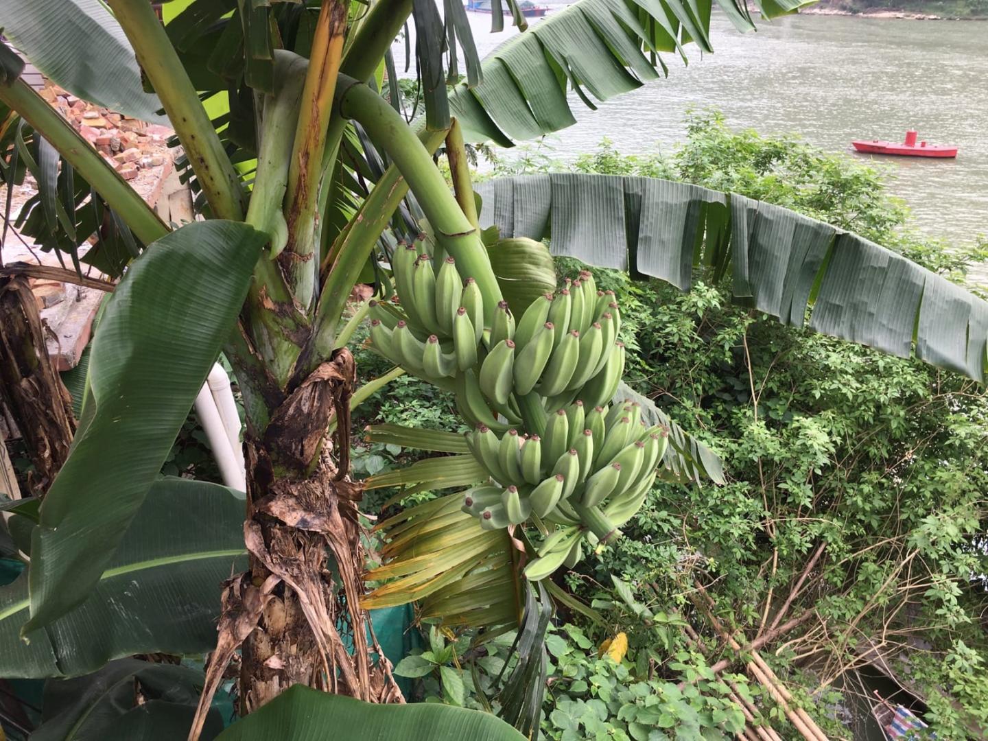 五一劳动节 一家人来清远市白庙码头