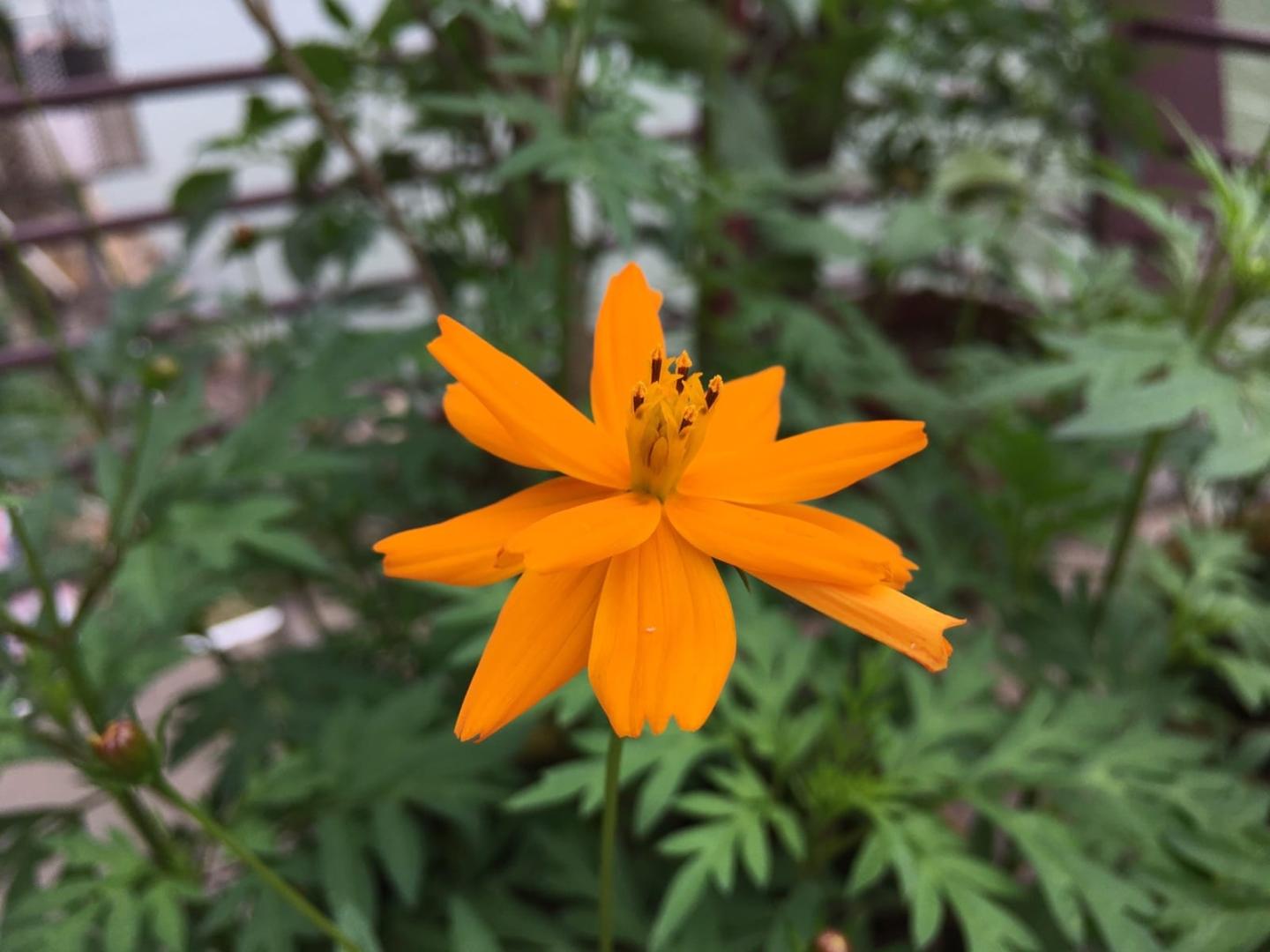 五一劳动节 一家人来清远市白庙码头