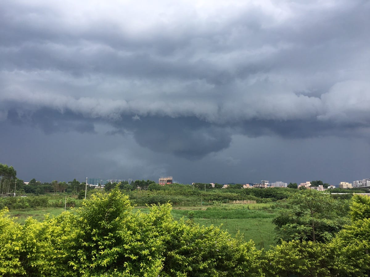 大雨来临，乌云漫天，电光闪，风呼呼，雨哗哗！！！吓的小鸡叽叽叽，乐的小鸭嘎嘎嘎！！！
