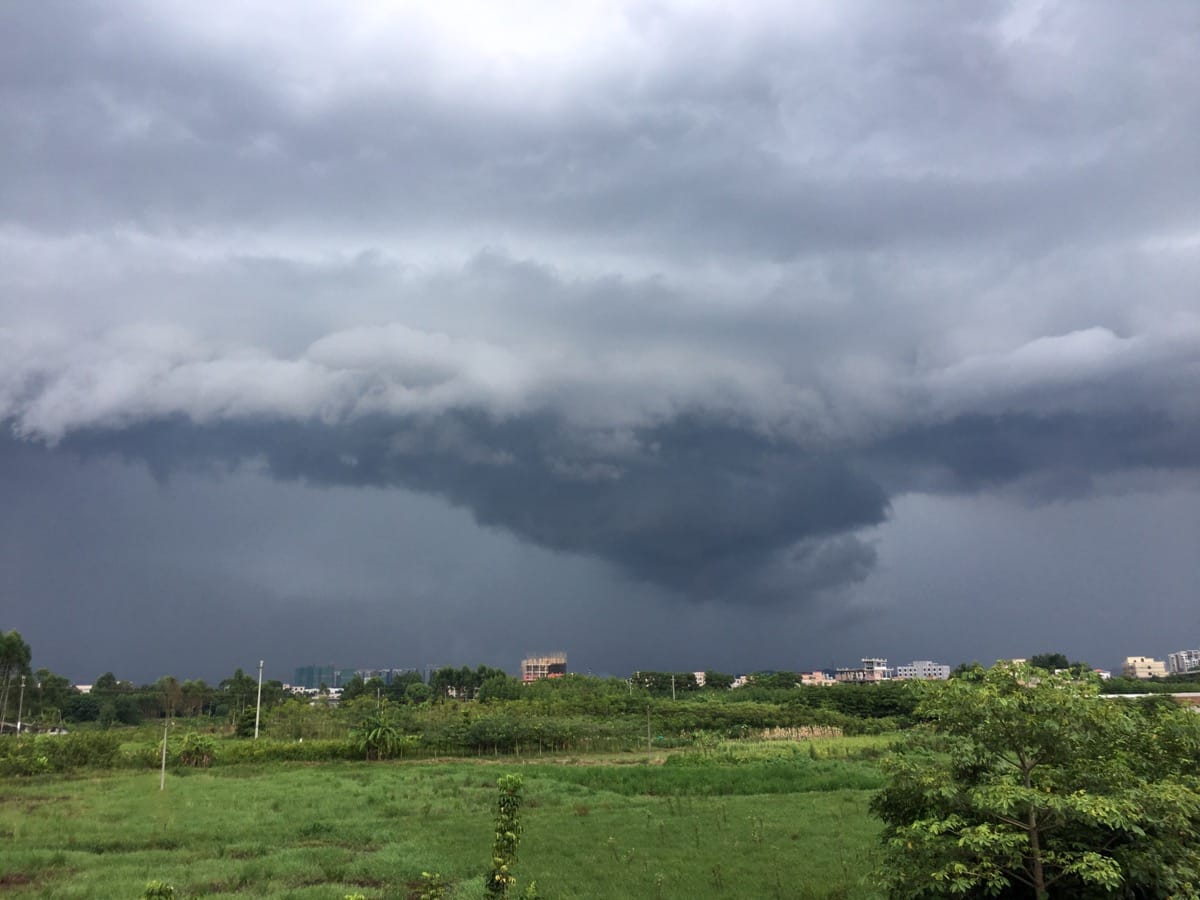 大雨来临，乌云漫天，电光闪，风呼呼，雨哗哗！！！吓的小鸡叽叽叽，乐的小鸭嘎嘎嘎！！！