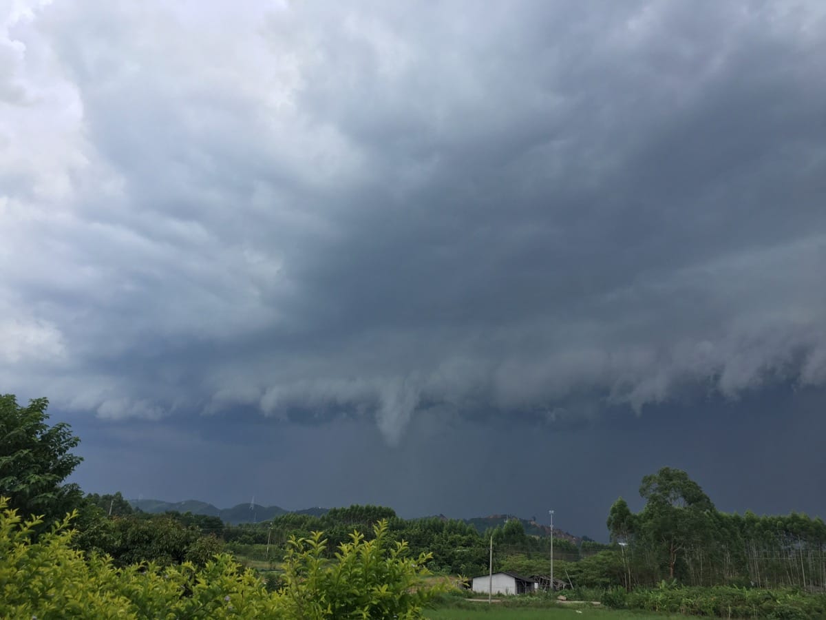大雨来临，乌云漫天，电光闪，风呼呼，雨哗哗！！！吓的小鸡叽叽叽，乐的小鸭嘎嘎嘎！！！