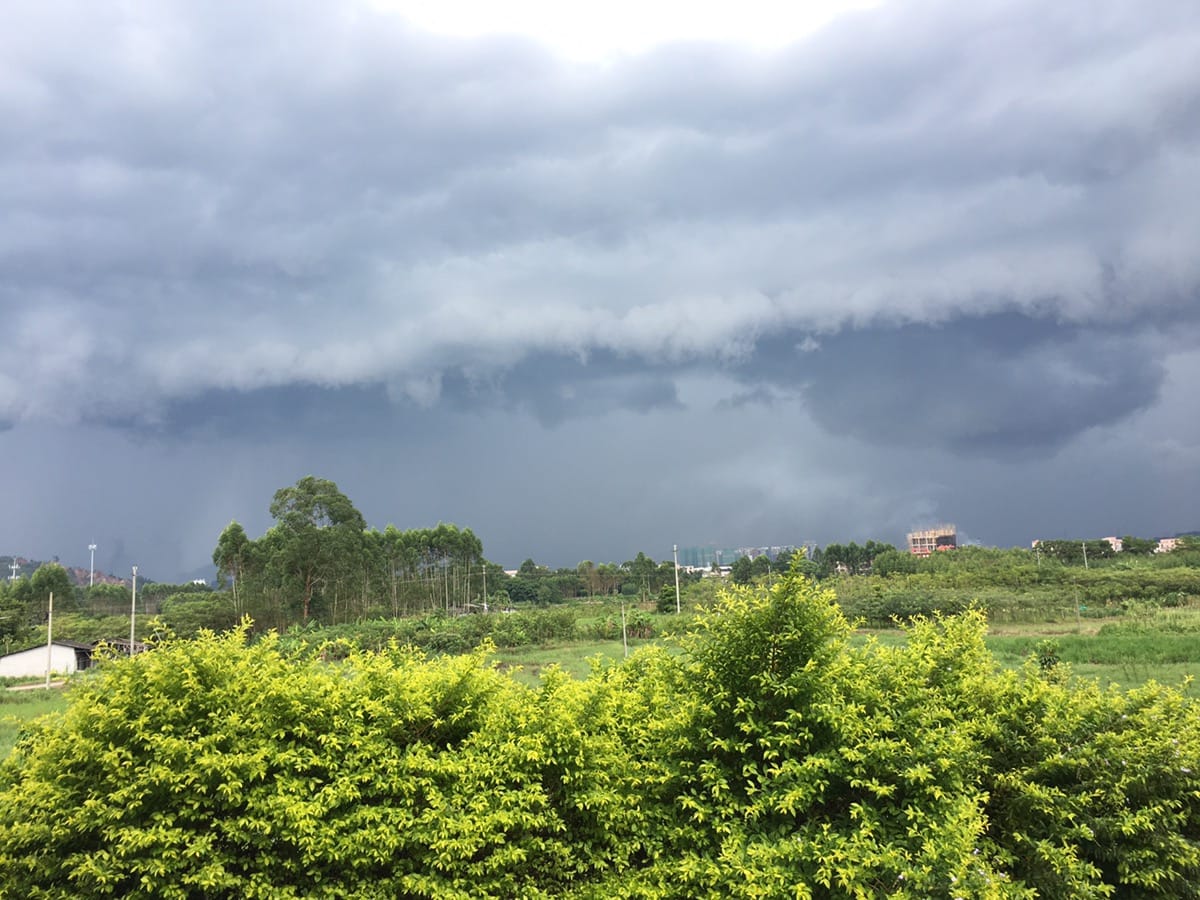 大雨来临，乌云漫天，电光闪，风呼呼，雨哗哗！！！吓的小鸡叽叽叽，乐的小鸭嘎嘎嘎！！！