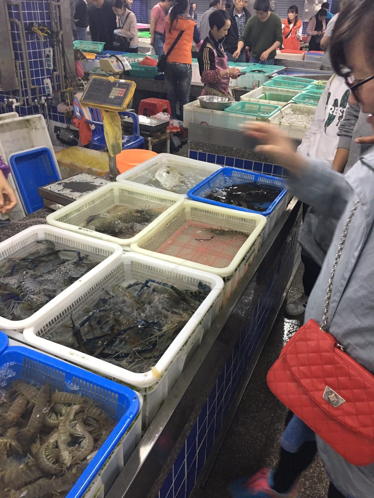 清明节假期珠海游玩散心采摘神湾菠萝