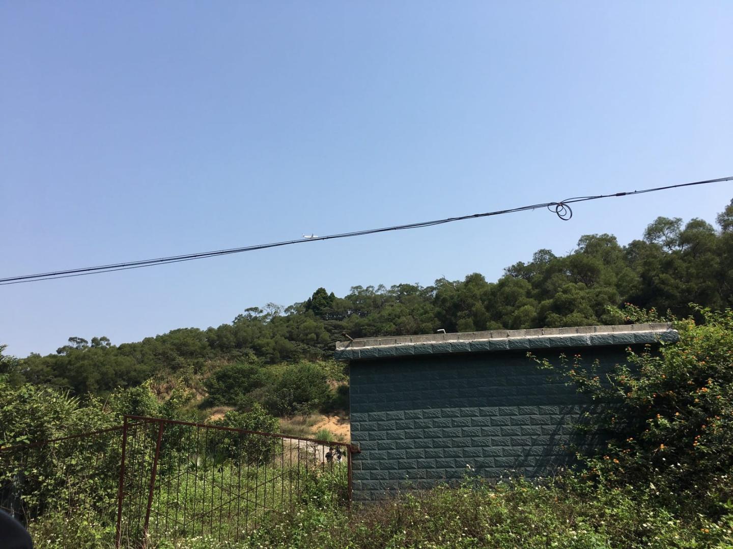 清明节假期珠海游玩散心采摘神湾菠萝