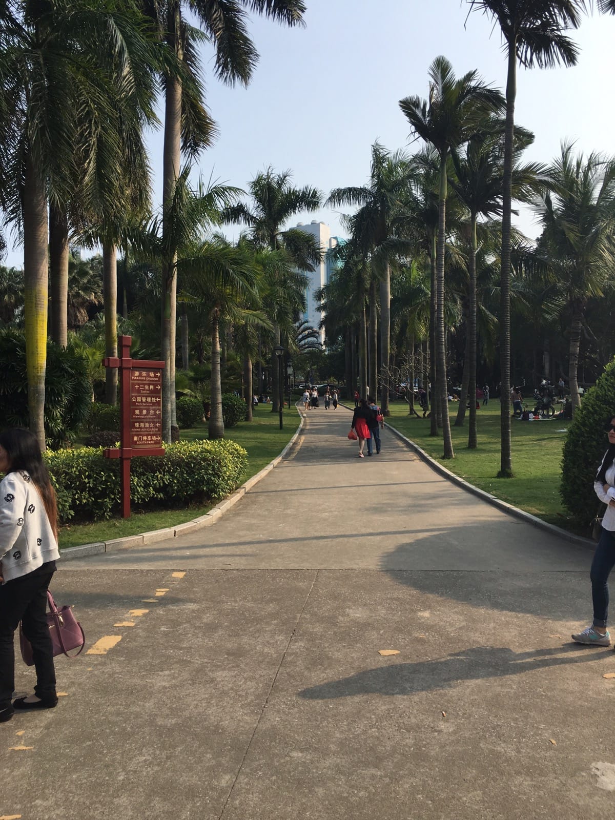 清明节假期珠海游玩散心采摘神湾菠萝
