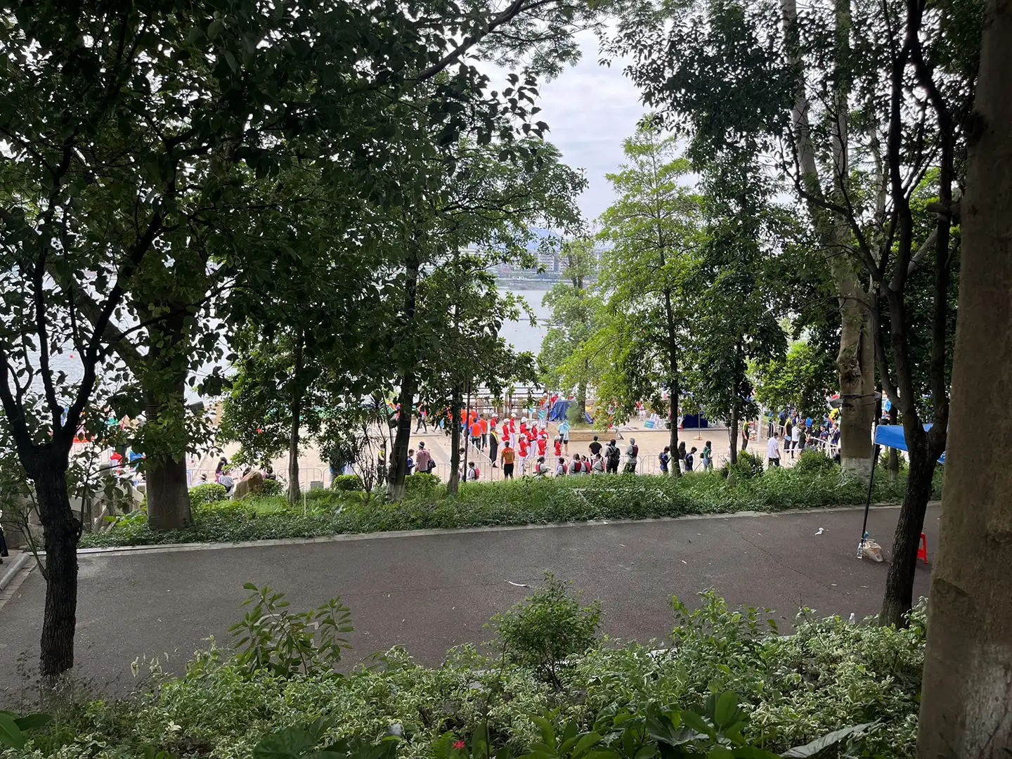 清远市赛龙舟，北江观龙舟，一城烟火满腔欢
