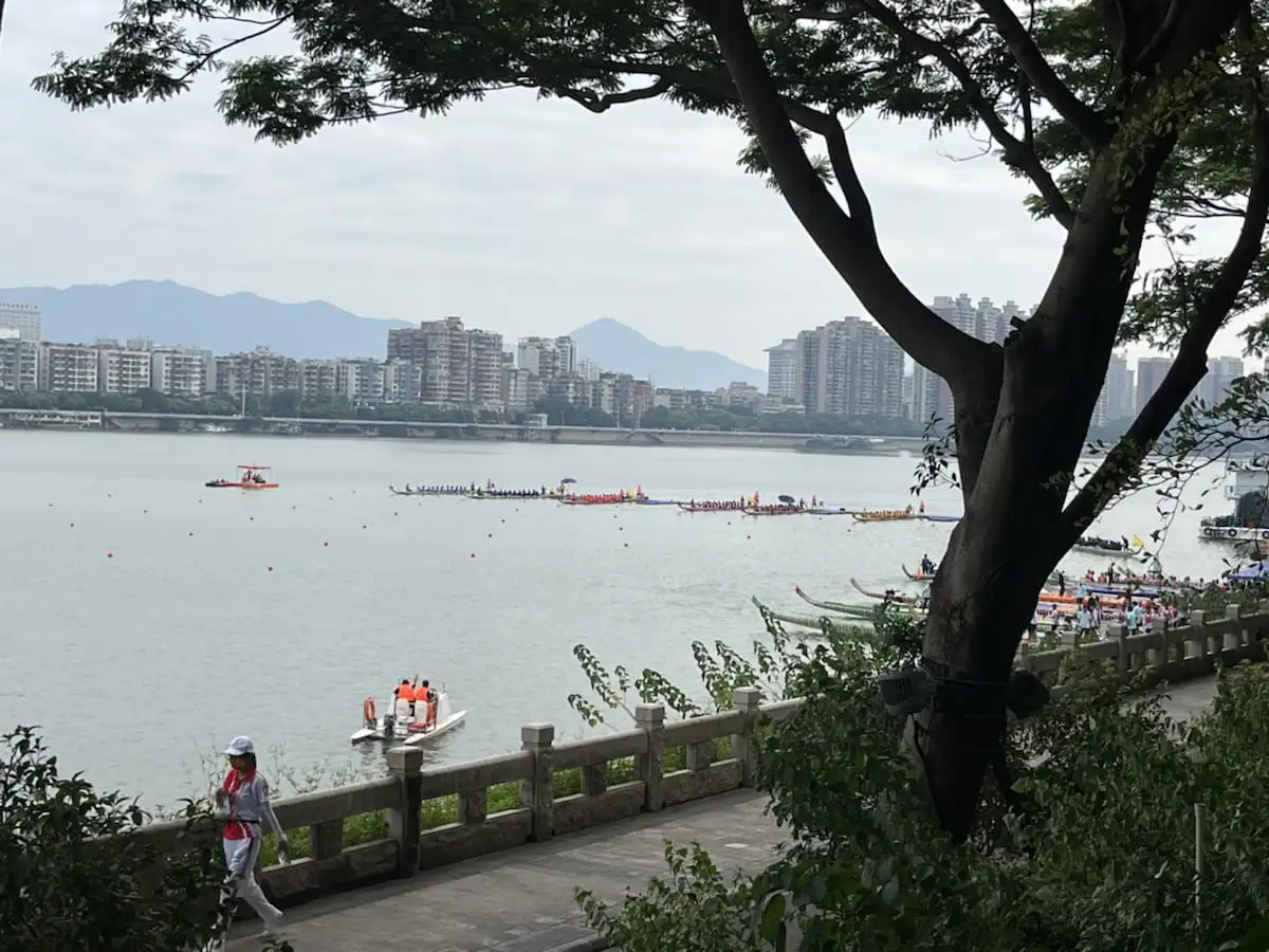 清远市赛龙舟,北江观龙舟,一城烟火满腔欢