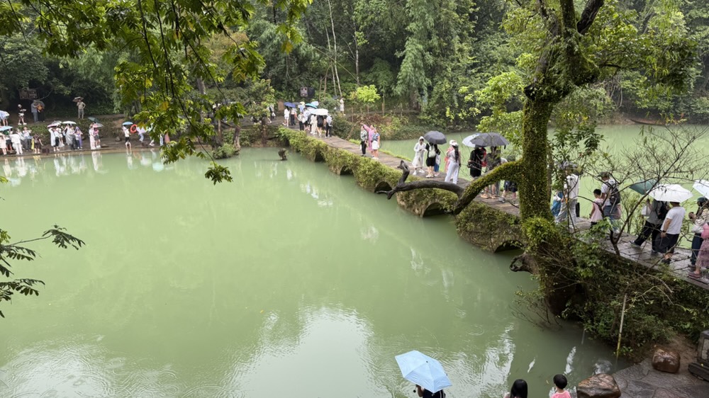 荔波小七孔—藏在黔南山谷里的绿宝石 逛吃游记