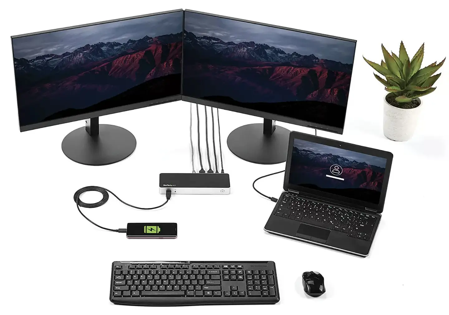 Startech MST30C2HHPD全功能C扩展坞XPS Thinkpad X1C surface pro等外接双显示器PD60瓦
